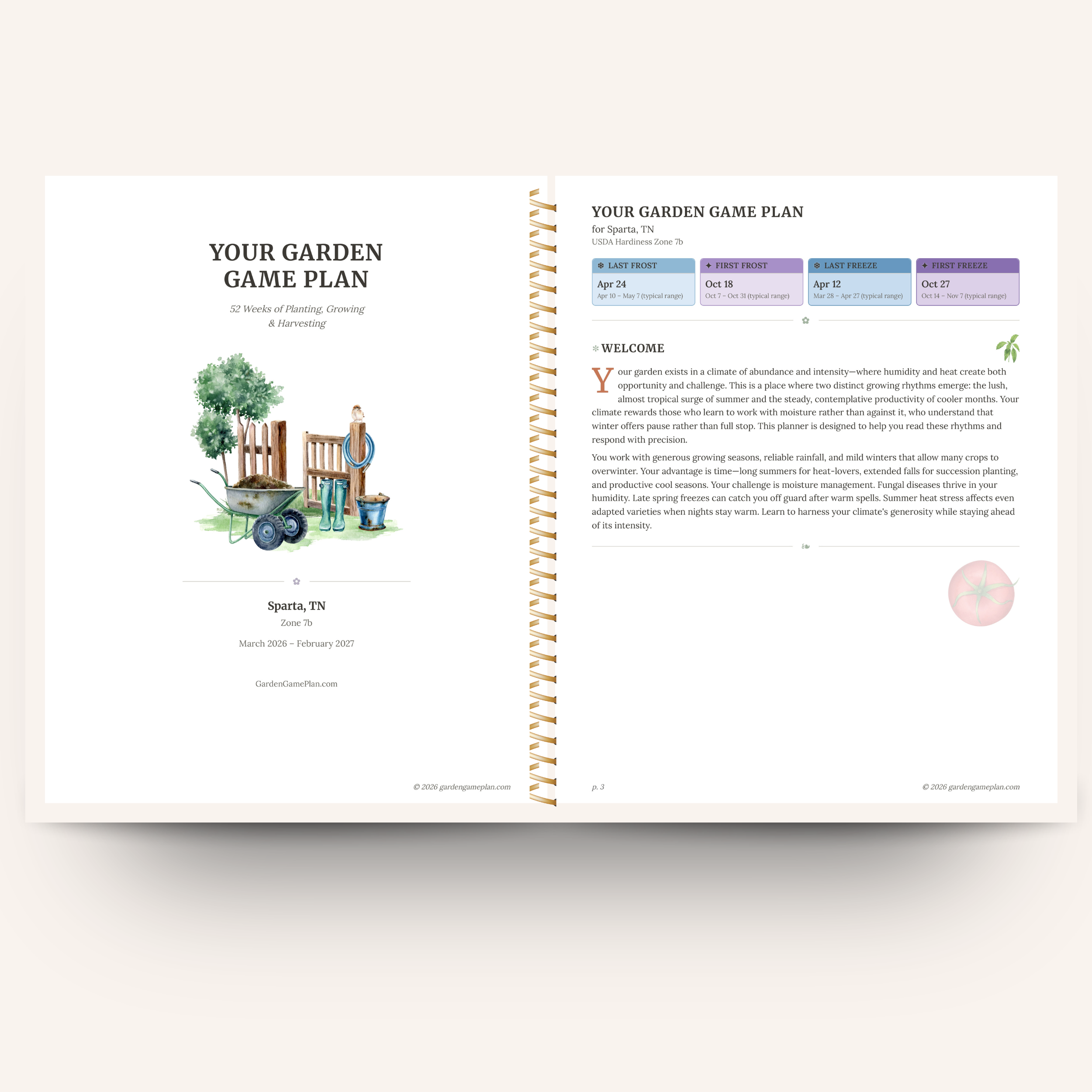 Game plan in the garden