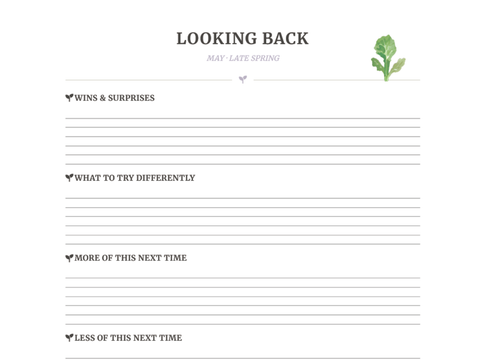 Monthly journal reflection page for wins and lessons learned