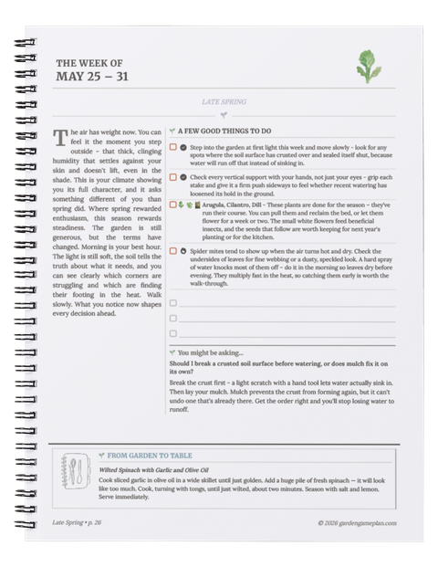 Weekly narrative spread showing a checklist for the week