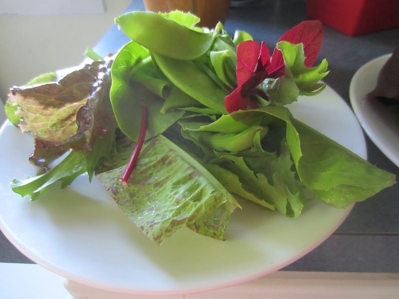 Salad